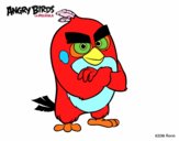 Red de Angry Birds