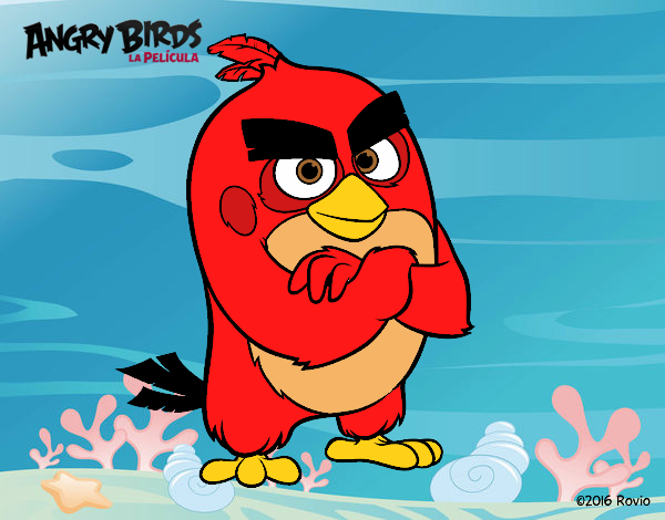 Red de Angry Birds