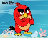 Red de Angry Birds