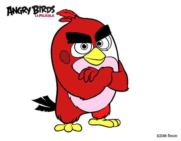 Red de Angry Birds