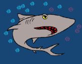 Dibujo Tiburón pintado por saida leal