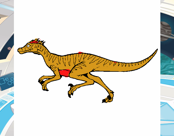 Velociraptor