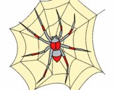 Araña