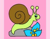 Caracol