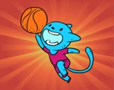 Gato jugando a baloncesto