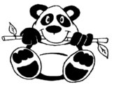 Oso panda