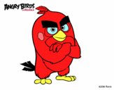 Red de Angry Birds