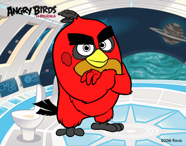 Red de Angry Birds