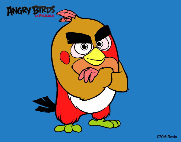 Red de Angry Birds