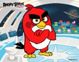 Red de Angry Birds