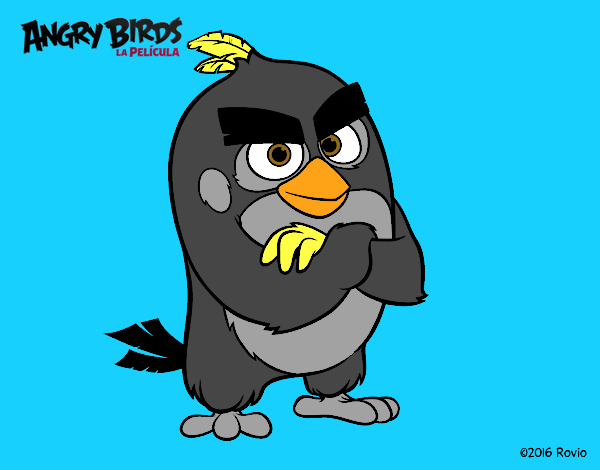 Red de Angry Birds