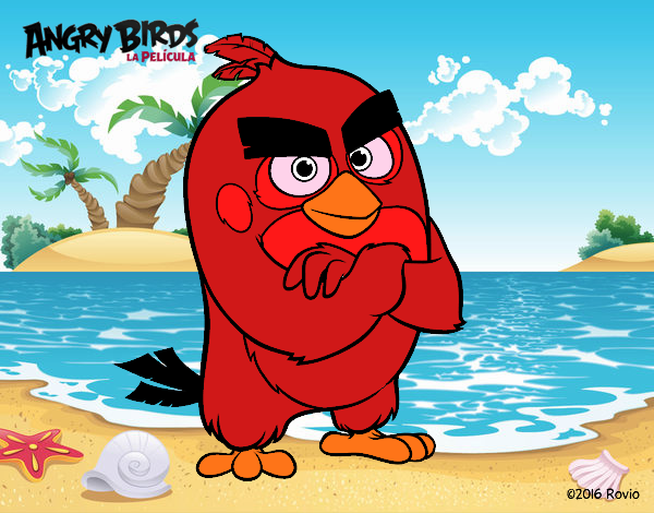 Red de Angry Birds