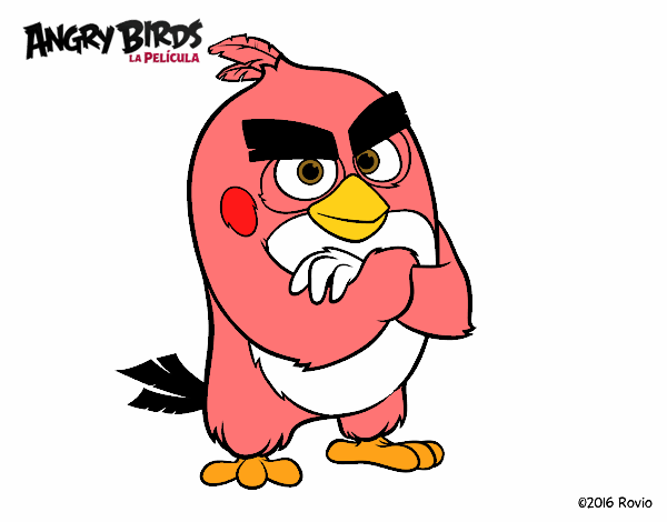 Red de Angry Birds