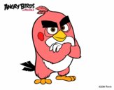 Red de Angry Birds