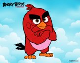 Red de Angry Birds