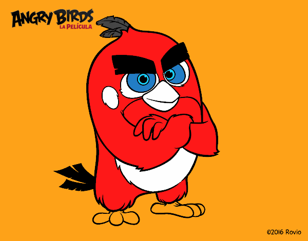 Red de Angry Birds