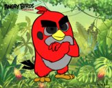 Red de Angry Birds