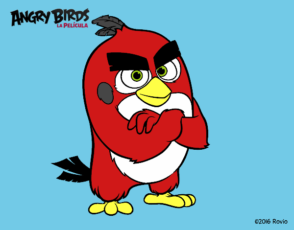 Red de Angry Birds