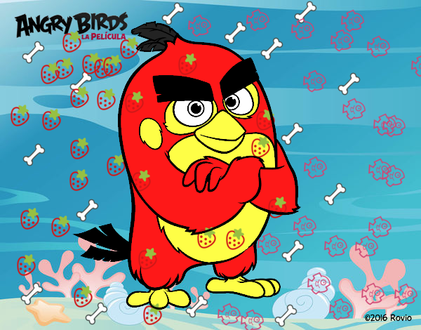 Red de Angry Birds