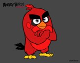 Red de Angry Birds