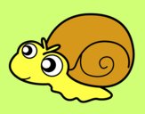 Caracol bebé