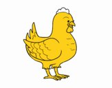 Gallina de una granja