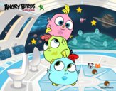 Las crias de Angry Birds