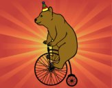 Oso en bicicleta