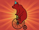 Oso en bicicleta