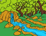 Dibujo Paisaje de bosque con un río pintado por 58723176