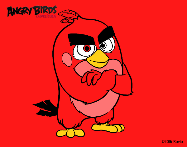 Red de Angry Birds