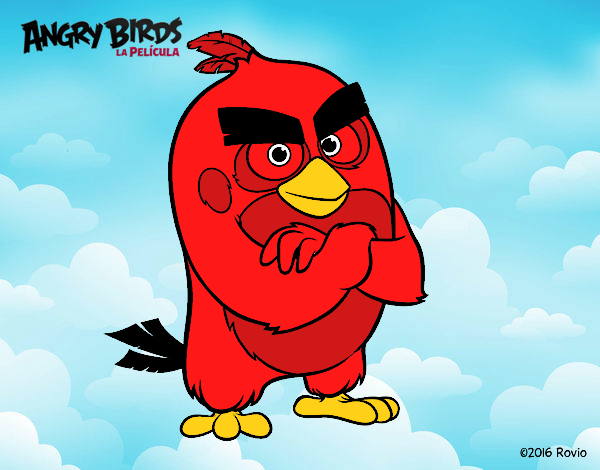 Red de Angry Birds