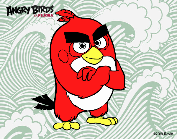 Red de Angry Birds