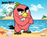 Red de Angry Birds