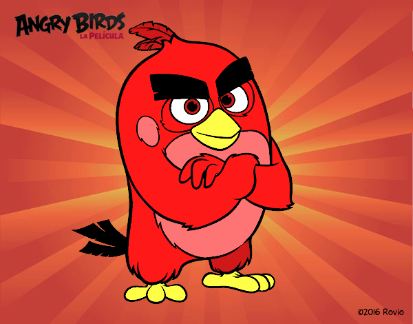 Red de Angry Birds