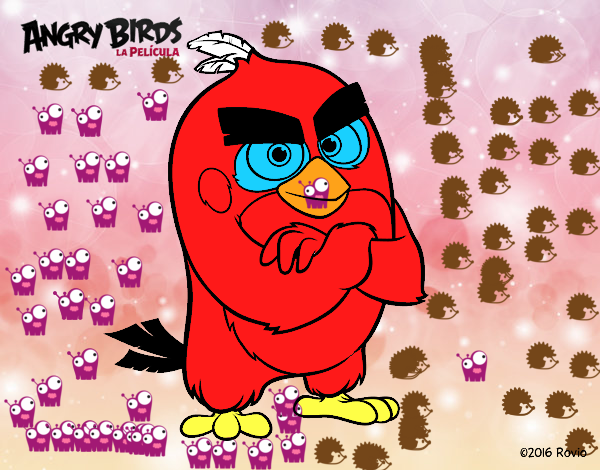 Red de Angry Birds