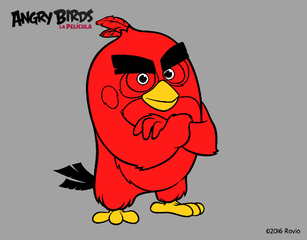 Red de Angry Birds