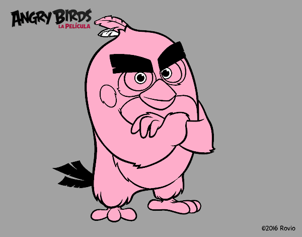 Red de Angry Birds