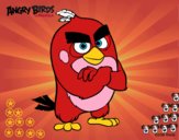 Red de Angry Birds