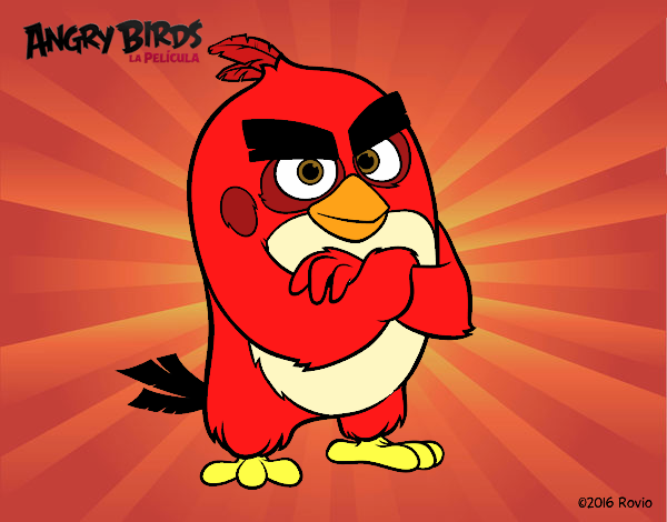 Red de Angry Birds