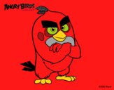 Red de Angry Birds