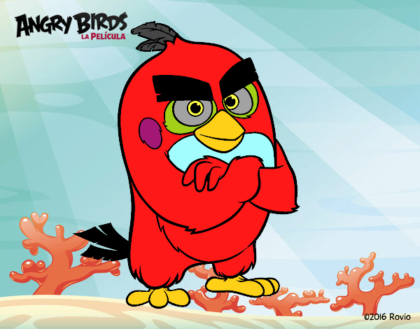 Red de Angry Birds