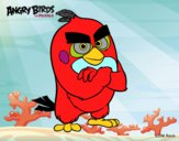 Red de Angry Birds