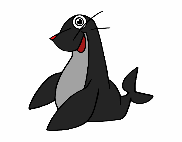 Foca monje