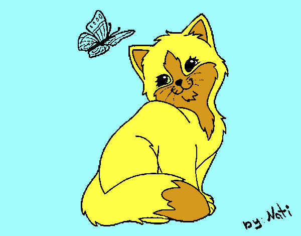 Gatito y mariposa