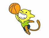 Gato jugando a baloncesto