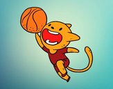 Gato jugando a baloncesto