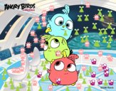 Las crias de Angry Birds