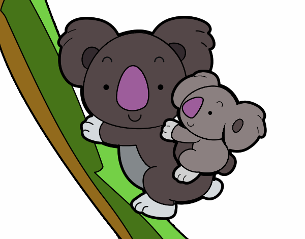 Madre koala