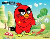 Red de Angry Birds